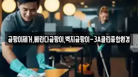 곰팡이제거,베란다곰팡이,벽지곰팡이-3A클린종합환경
