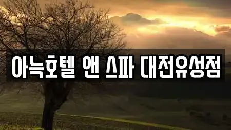 아늑호텔 앤 스파 대전유성점