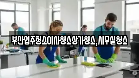 부산입주청소이사청소상가청소,사무실청소