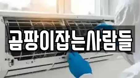 서울 초동 전문 청소업체,청소,입주청소,사무실청소,상가청소 업체 16 위치