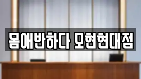 몸애반하다 모현현대점