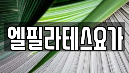 엘필라테스요가