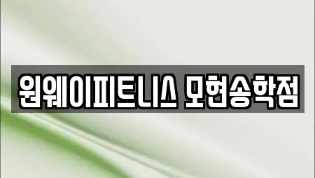 원웨이피트니스 모현송학점