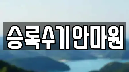 승록수기안마원