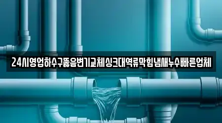 24시영업하수구뚫음변기교체싱크대역류막힘냄새누수빠른업체