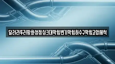달려라뚜러팡화성점싱크대막힘변기막힘하수구막힘고압세척