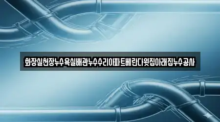 화장실천장누수욕실배관누수수리아파트베란다윗집아래집누수공사