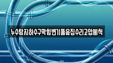 누수탐지하수구막힘변기뚫음집수리고압세척