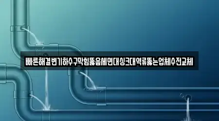 빠른해결변기하수구막힘뚫음세면대싱크대역류뚫는업체수전교체