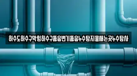 하수도하수구막힘하수구뚫음변기뚫음누수탐지물새는곳누수탐사