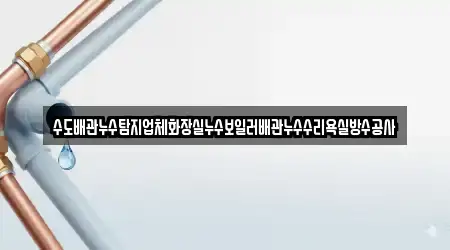 수도배관누수탐지업체화장실누수보일러배관누수수리욕실방수공사