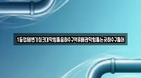 1등업체변기싱크대막힘뚫음하수구역류배관막힘뚫는곳하수구뚫어