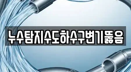 누수탐지수도하수구변기뚫음