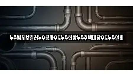 누수탐지보일러누수공사수도누수천장누수주택마당수도누수설비