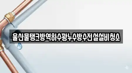 경북 석장동에서 가까운 배관 청소 3곳 위치