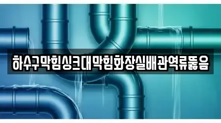 하수구막힘싱크대막힘화장실배관역류뚫음