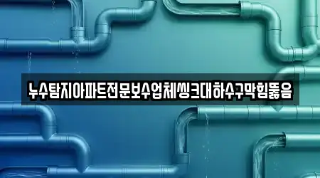 누수탐지아파트전문보수업체씽크대하수구막힘뚫음
