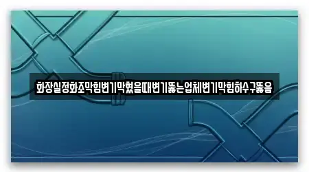 화장실정화조막힘변기막혔을때변기뚫는업체변기막힘하수구뚫음
