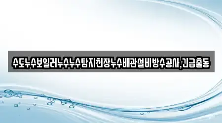 수도누수보일러누수누수탐지천장누수배관설비방수공사,긴급출동