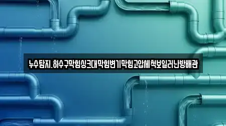 누수탐지.하수구막힘싱크대막힘변기막힘고압세척보일러난방배관