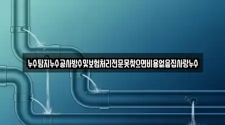 누수탐지누수공사방수및보험처리전문못찾으면비용없음집사랑누수