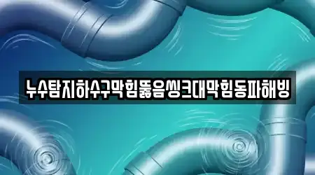 누수탐지하수구막힘뚫음씽크대막힘동파해빙