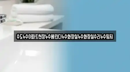 수도누수아파트천장누수베란다누수화장실누수화장실수리누수탐지