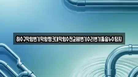 하수구막힘변기막힘씽크대막힘수전교체변기수리변기뚫음누수탐지