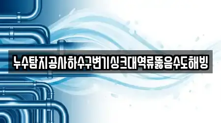 누수탐지공사하수구변기싱크대역류뚫음수도해빙