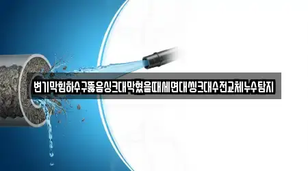 변기막힘하수구뚫음싱크대막혔을때세면대씽크대수전교체누수탐지