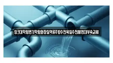 싱크대막힘변기막힘화장실역류주방수전욕실수전세면대부속교체