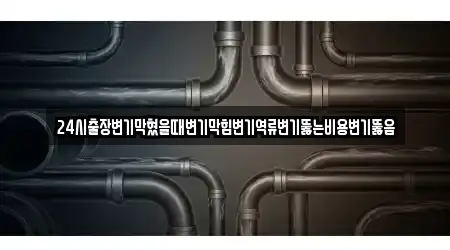 24시출장변기막혔을때변기막힘변기역류변기뚫는비용변기뚫음