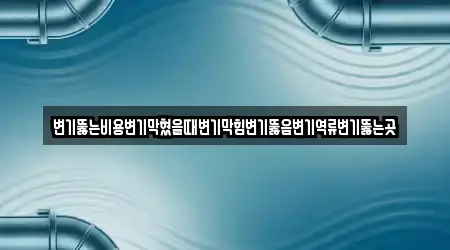 변기뚫는비용변기막혔을때변기막힘변기뚫음변기역류변기뚫는곳