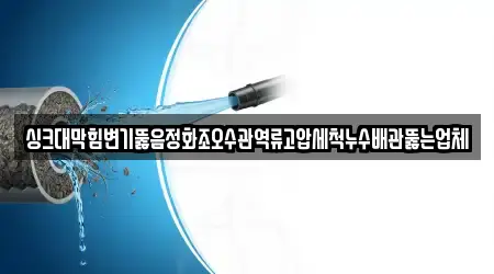 싱크대막힘변기뚫음정화조오수관역류고압세척누수배관뚫는업체