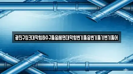 광진구싱크대막힘하수구뚫음세면대막힘변기뚫음변기뚫기변기뚫어