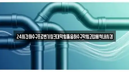 24시간하수구프로변기싱크대막힘뚫음하수구막힘고압세척내시경