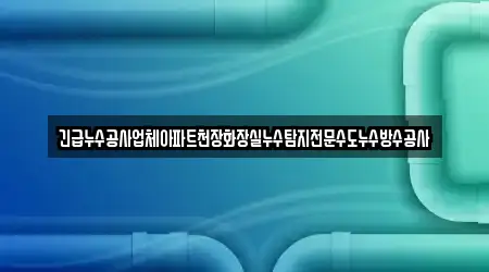 긴급누수공사업체아파트천장화장실누수탐지전문수도누수방수공사
