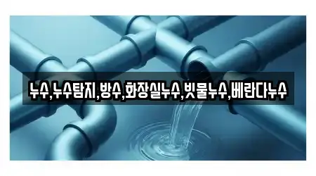 누수,누수탐지,방수,화장실누수,빗물누수,베란다누수