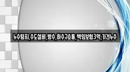 누수탐지,수도설비,방수,하수구소통,책임보험3억,가건누수