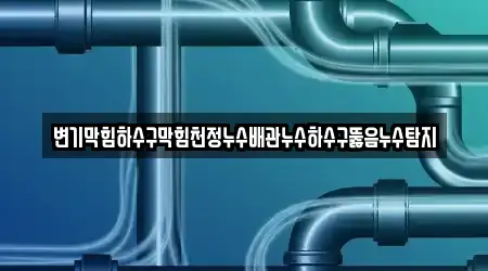 변기막힘하수구막힘천정누수배관누수하수구뚫음누수탐지