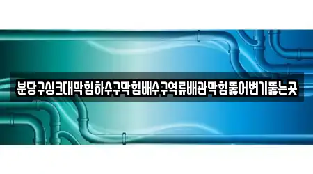 분당구싱크대막힘하수구막힘배수구역류배관막힘뚫어변기뚫는곳
