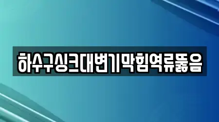 하수구싱크대변기막힘역류뚫음