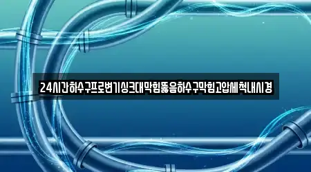 24시간하수구프로변기싱크대막힘뚫음하수구막힘고압세척내시경