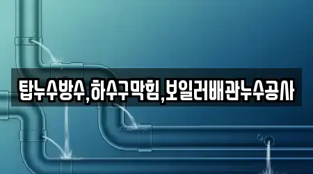 탑누수방수,하수구막힘,보일러배관누수공사