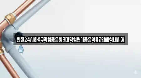 친절24시하수구막힘뚫음싱크대막힘변기뚫음역류고압세척내시경