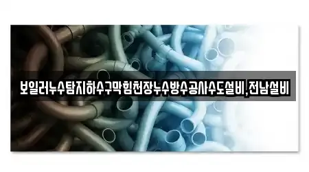보일러누수탐지하수구막힘천장누수방수공사수도설비,전남설비