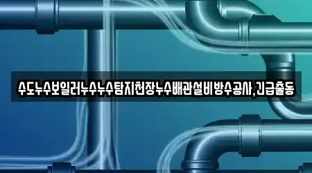 수도누수보일러누수누수탐지천장누수배관설비방수공사,긴급출동