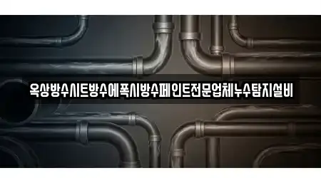 옥상방수시트방수에폭시방수페인트전문업체누수탐지설비