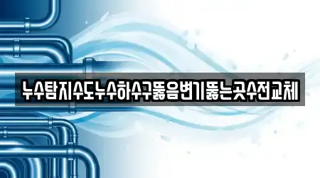 누수탐지수도누수하수구뚫음변기뚫는곳수전교체