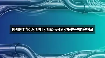싱크대막힘하수구막힘변기막힘뚫는곳배관막힘정화조막힘누수탐지